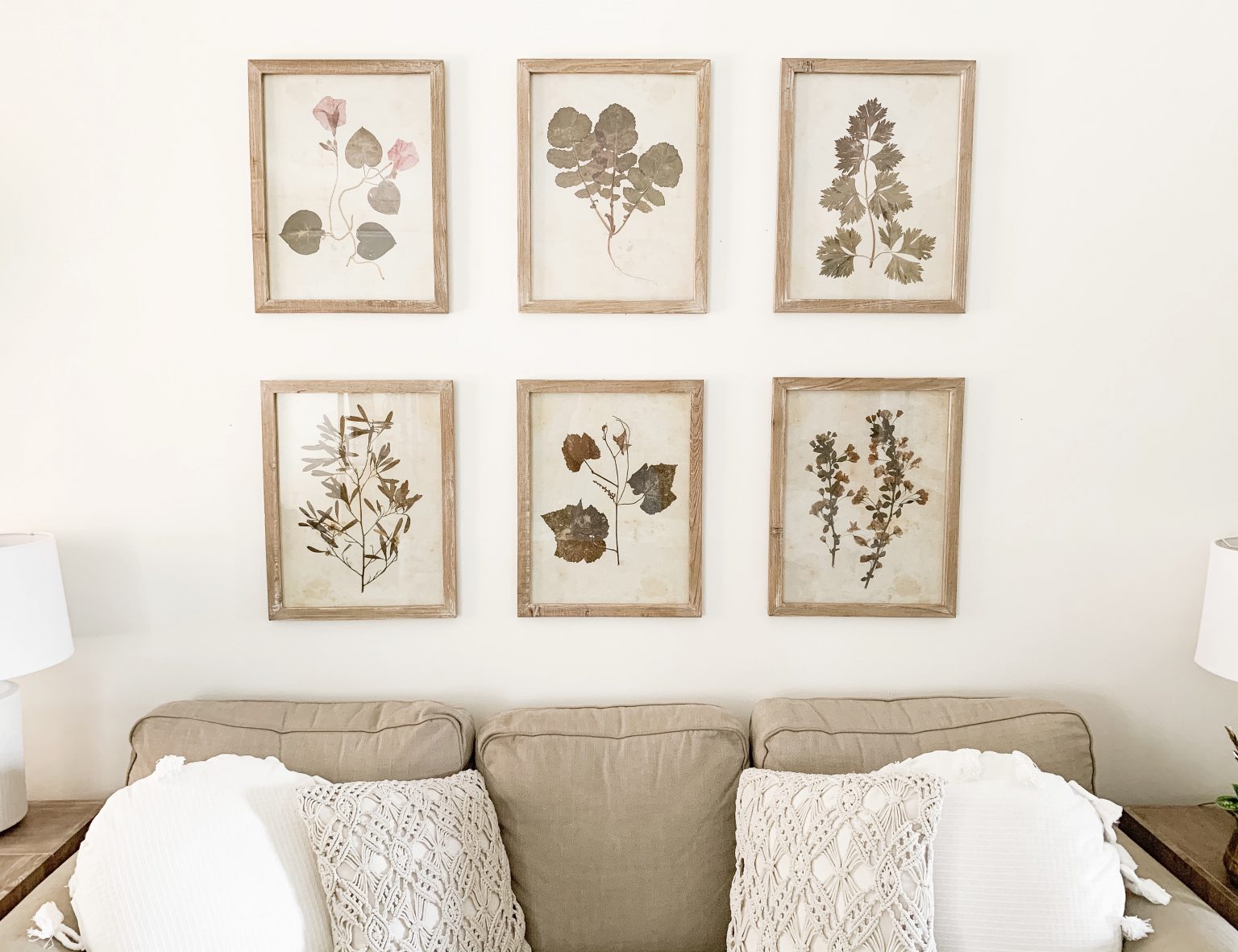 How To Hang A Botanical Print Gallery Wall Bless This Nest