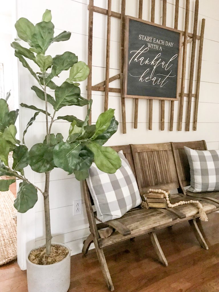 fiddle leaf fig tree beside bench