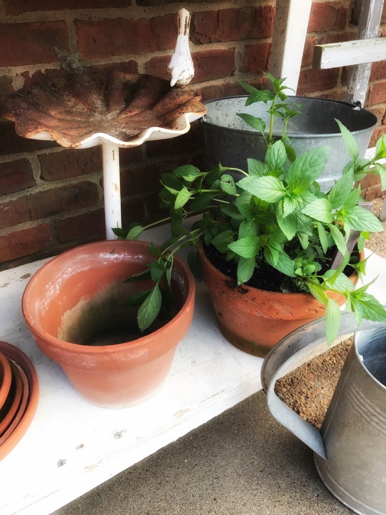 close up of antique bird bath and clay pots