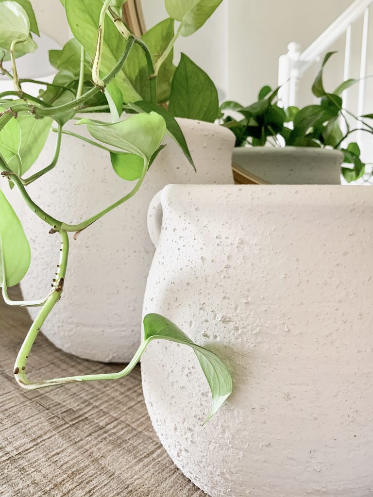 Studio McGee concrete pots on table