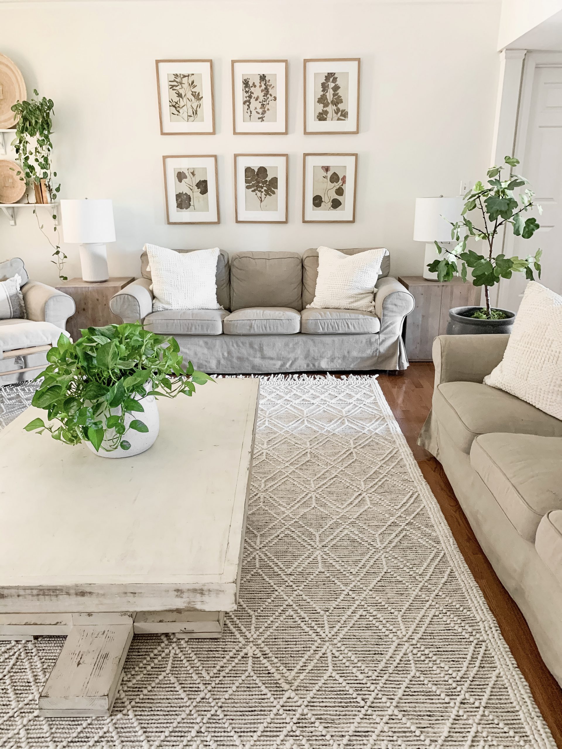 8 Neutral Rugs That Will Go With Any Decor Bless This Nest